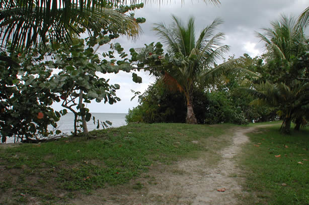 A Photo Walk along Negril's Famous Seven Mile Beach - Negril Travel Guide, Negril Jamaica WI - http://www.negriltravelguide.com - info@negriltravelguide.com...!