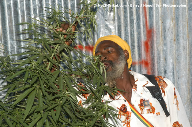 Venue and Audience - Smile Jamaica, Nine Miles, St Anns, Jamaica - Saturday, February 10, 2007 - The Smile Jamaica Concert, a symbolic homecoming in Bob Marley's birthplace of Nine Miles - Negril Travel Guide, Negril Jamaica WI - http://www.negriltravelguide.com - info@negriltravelguide.com...!